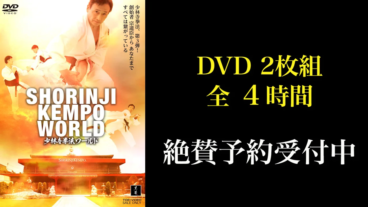 値下げしました 少林寺拳法 技術科目 初級編 DVD 2枚組 少林寺拳法