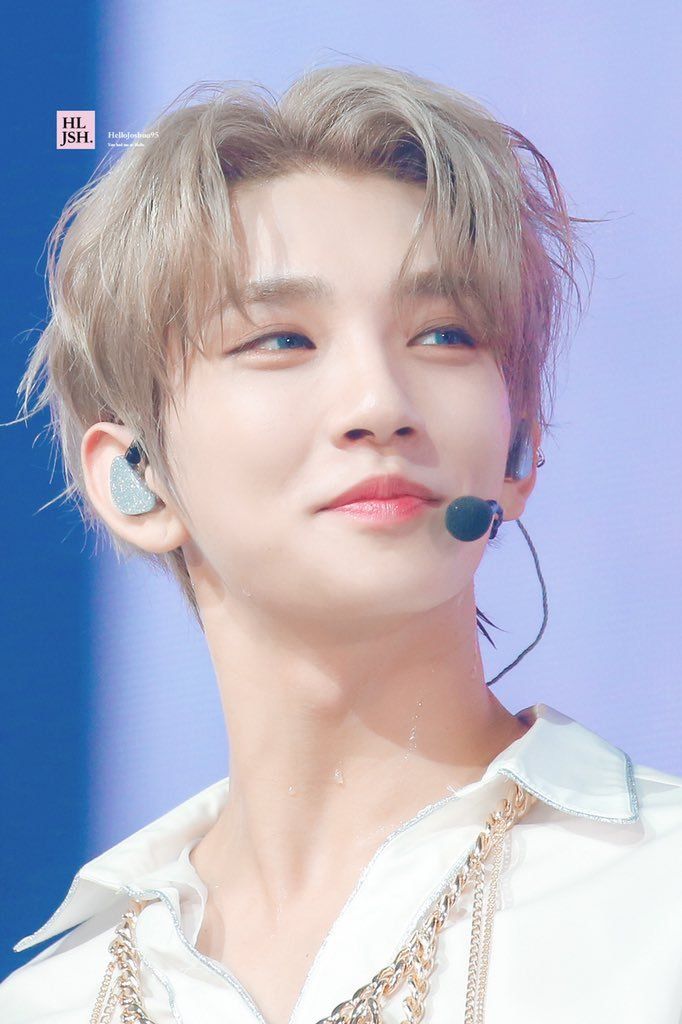 SEVENTEEN ジョシュア JOSHUA うちわ 15枚セット SEVENTEEN ジョシュア
