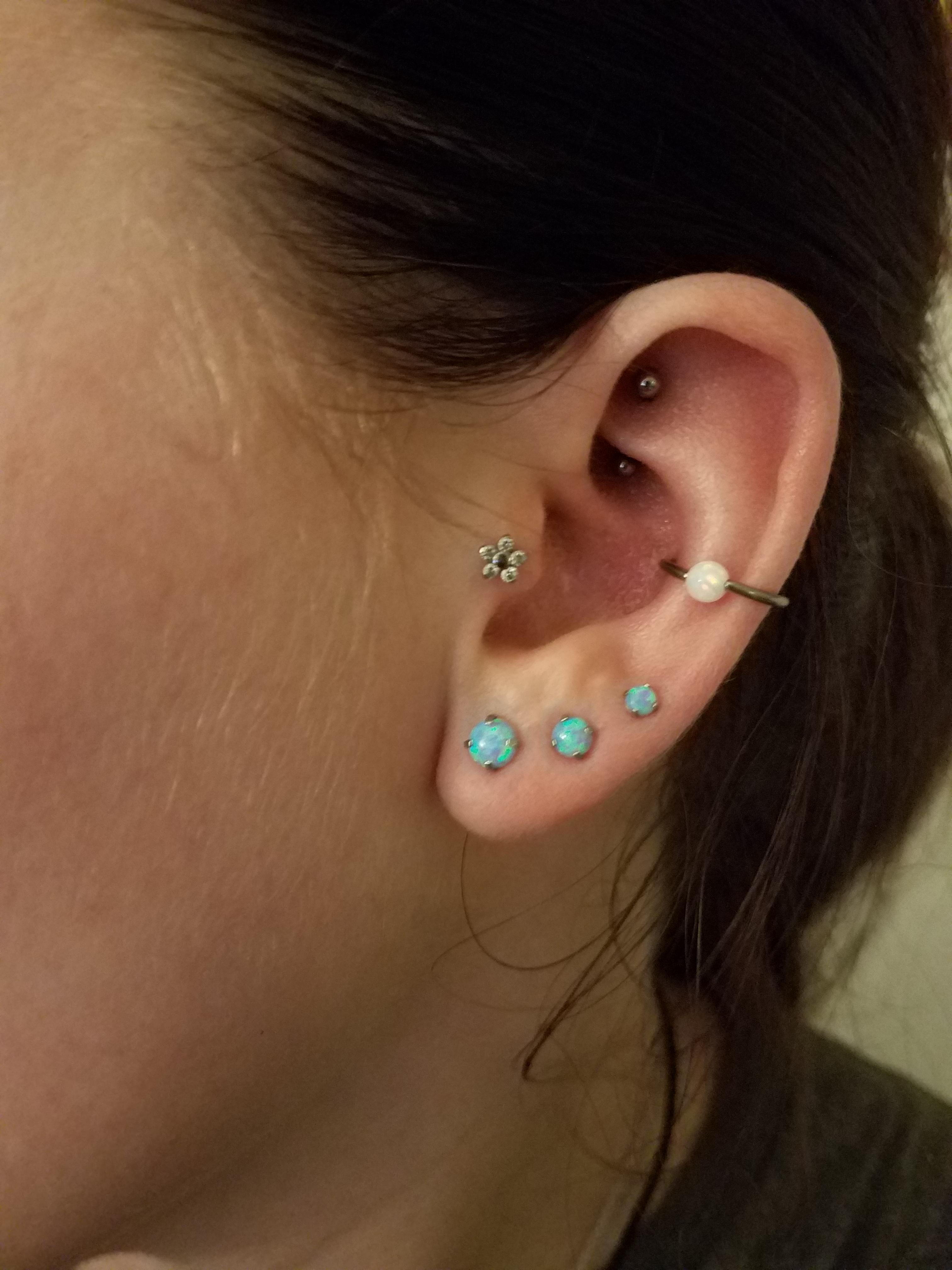 BECOME TREE CONCHO×HOOP PIERCE BECOME TREE CONCHO×HOOP PIERCE