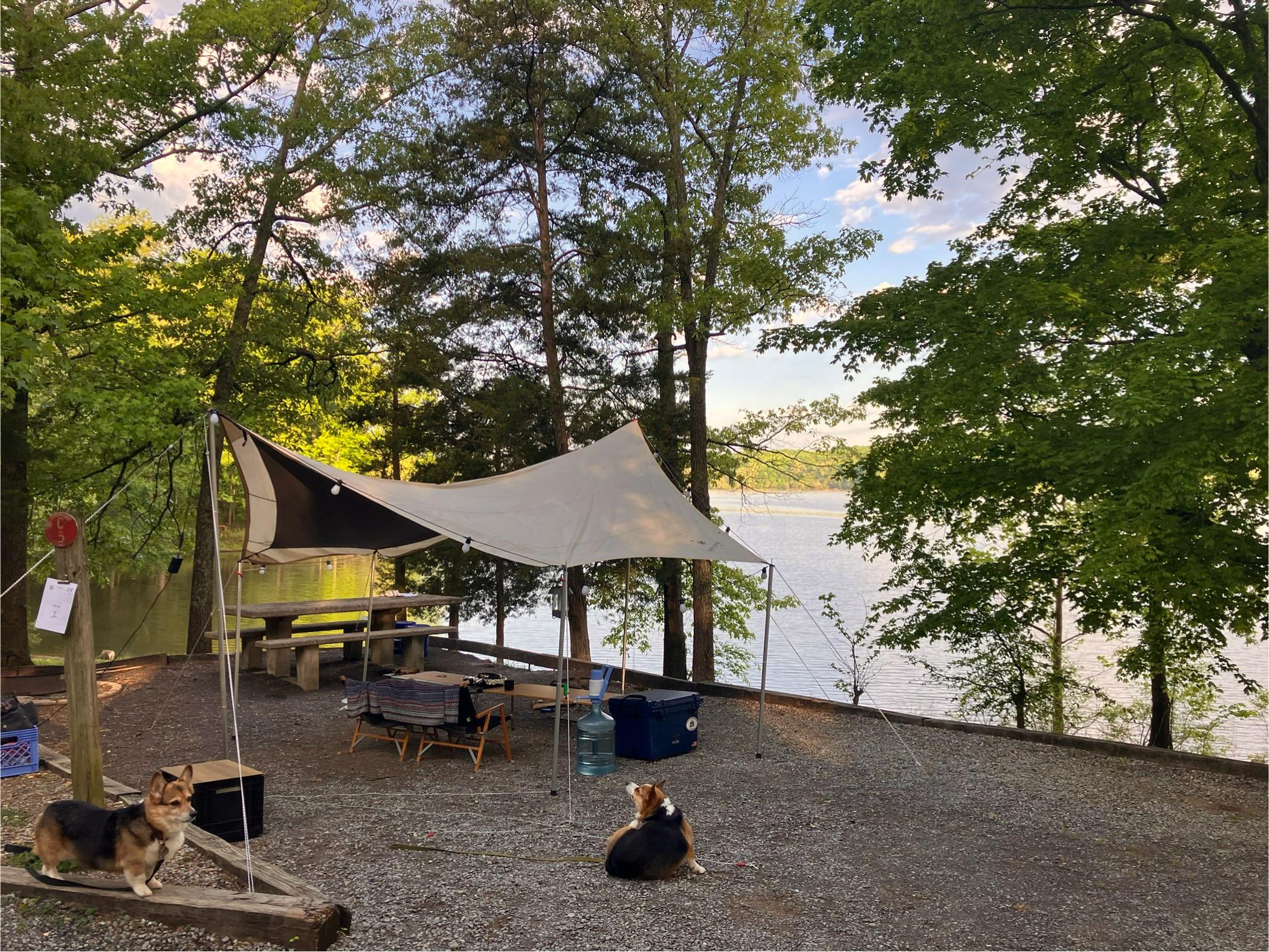 Extra Poles on the Takibi Tarp Hexa Set : r/snowpeak