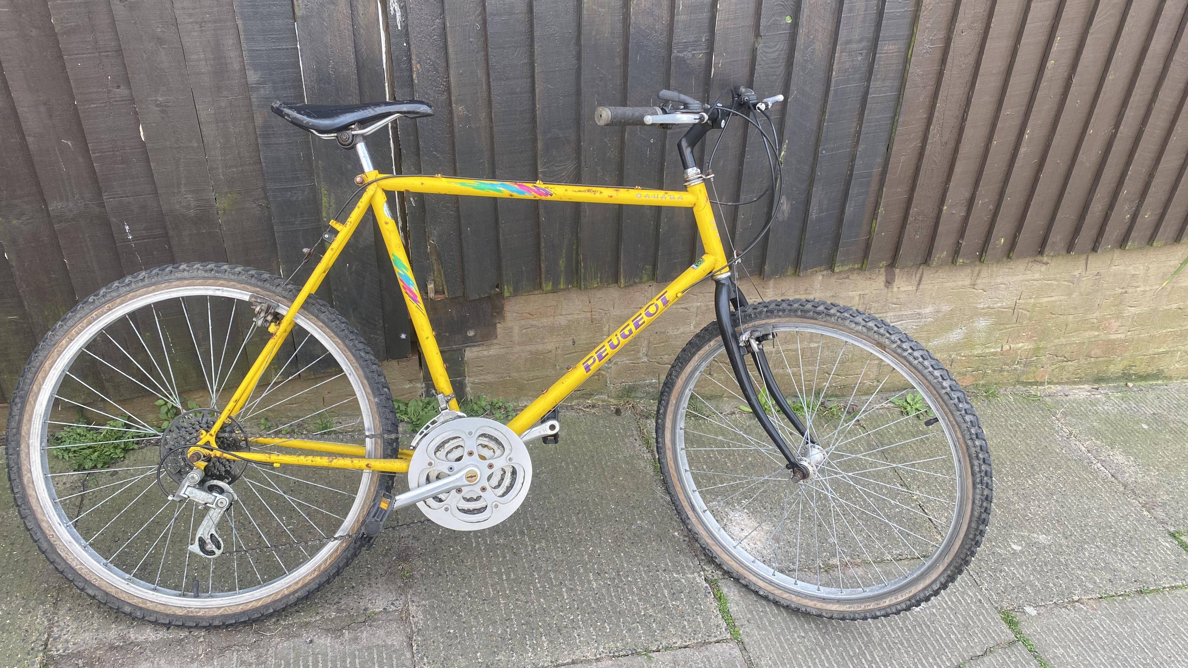 Naughty little Peugeot Sahara : r/xbiking