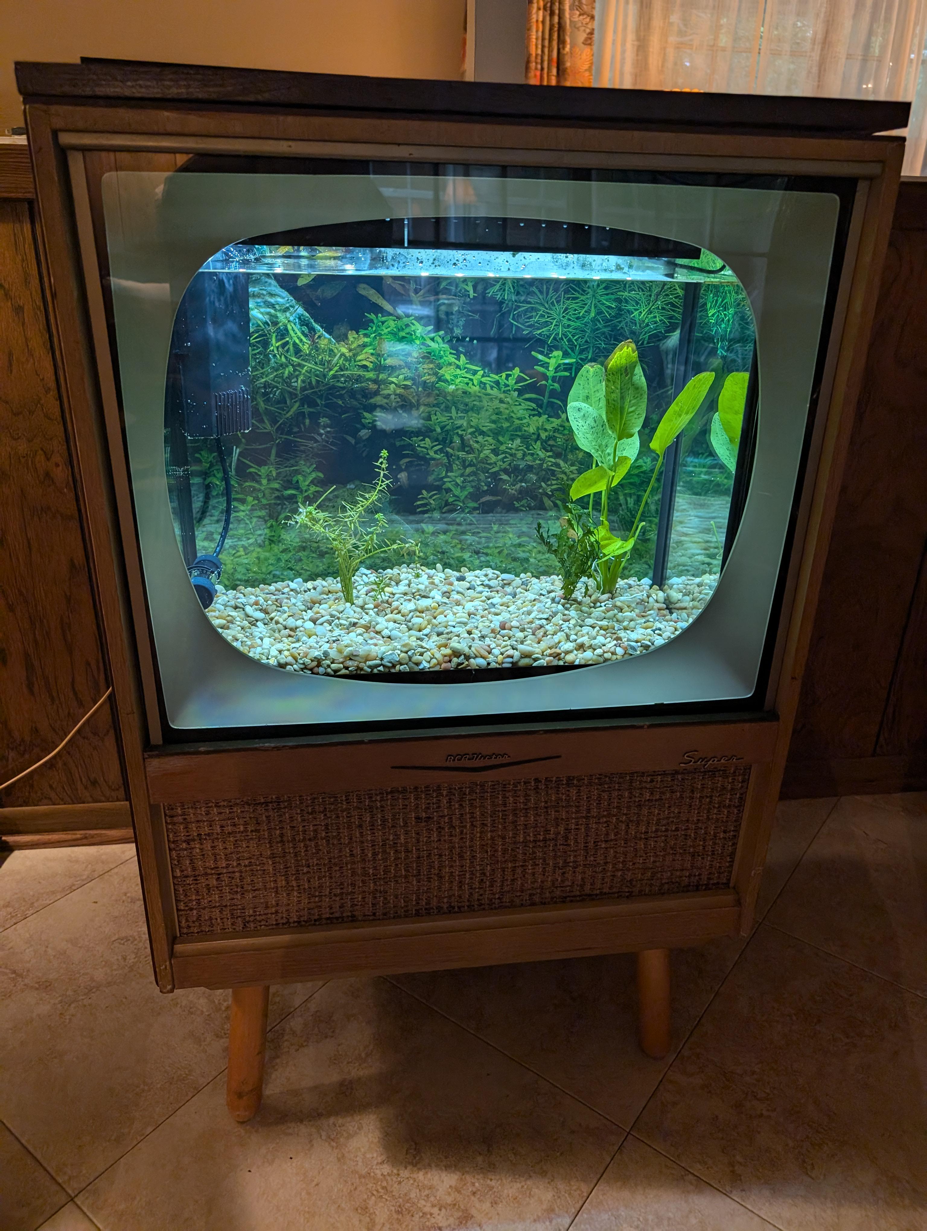 やっとヴィンテージTV水槽完成！ : r/Aquariums