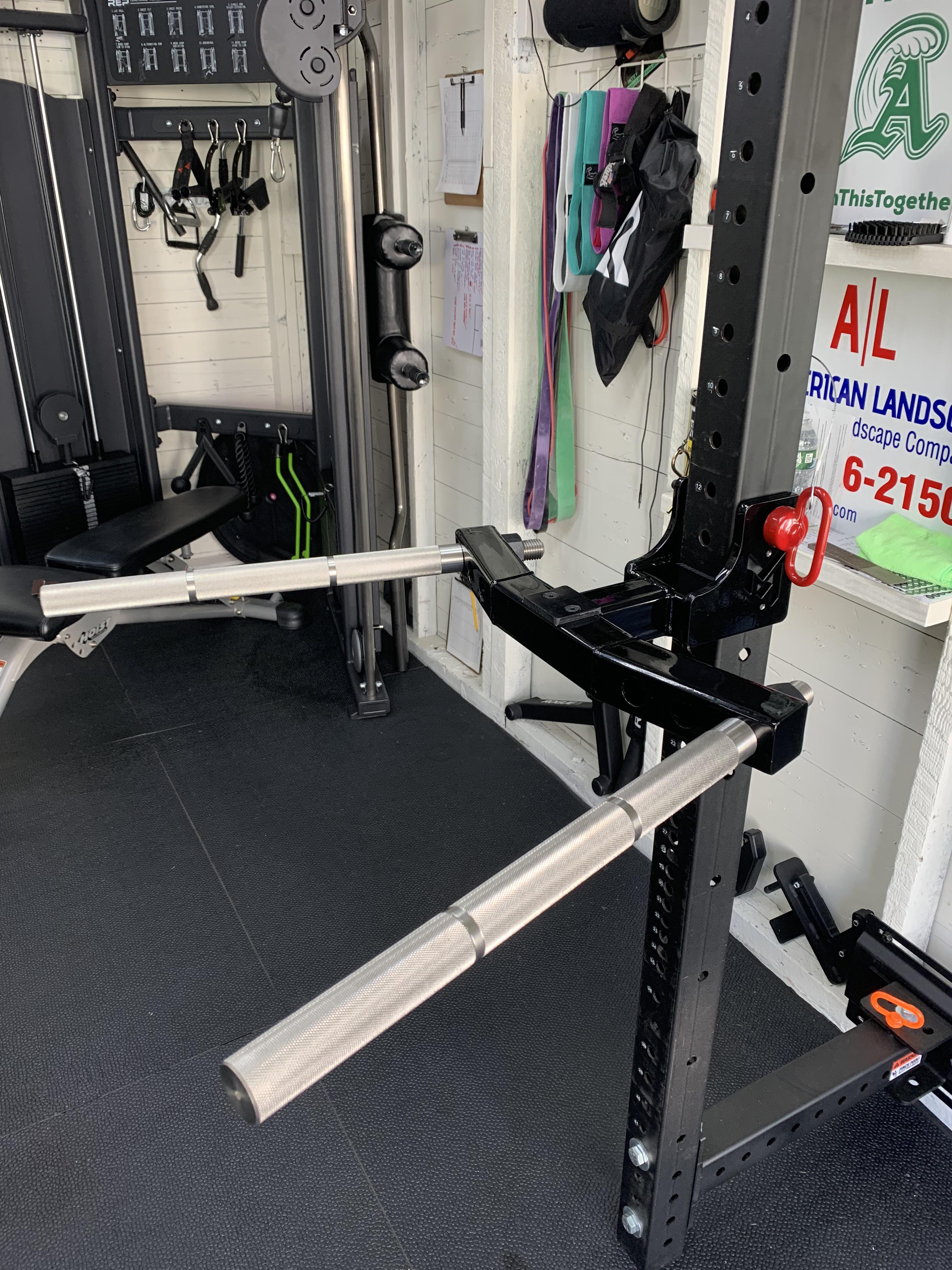 Mutant Metals Ultimate Dip Attachment : r/homegym
