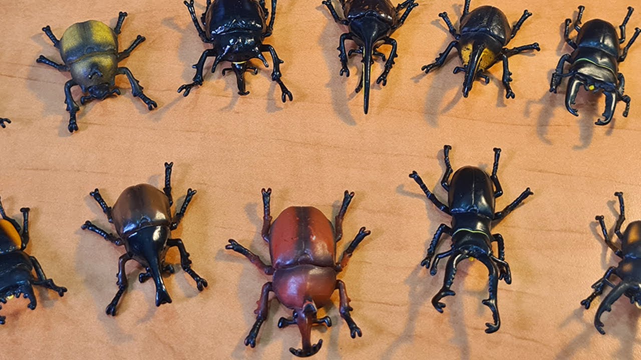 ムシキング新甲虫図鑑5 フィギュア確認用 ムシキング新甲虫図鑑