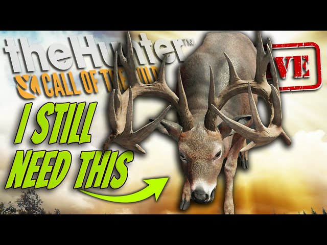 NEW G1 BEFORE 60 GRIND SOON! Lets Get The Great One Whitetail