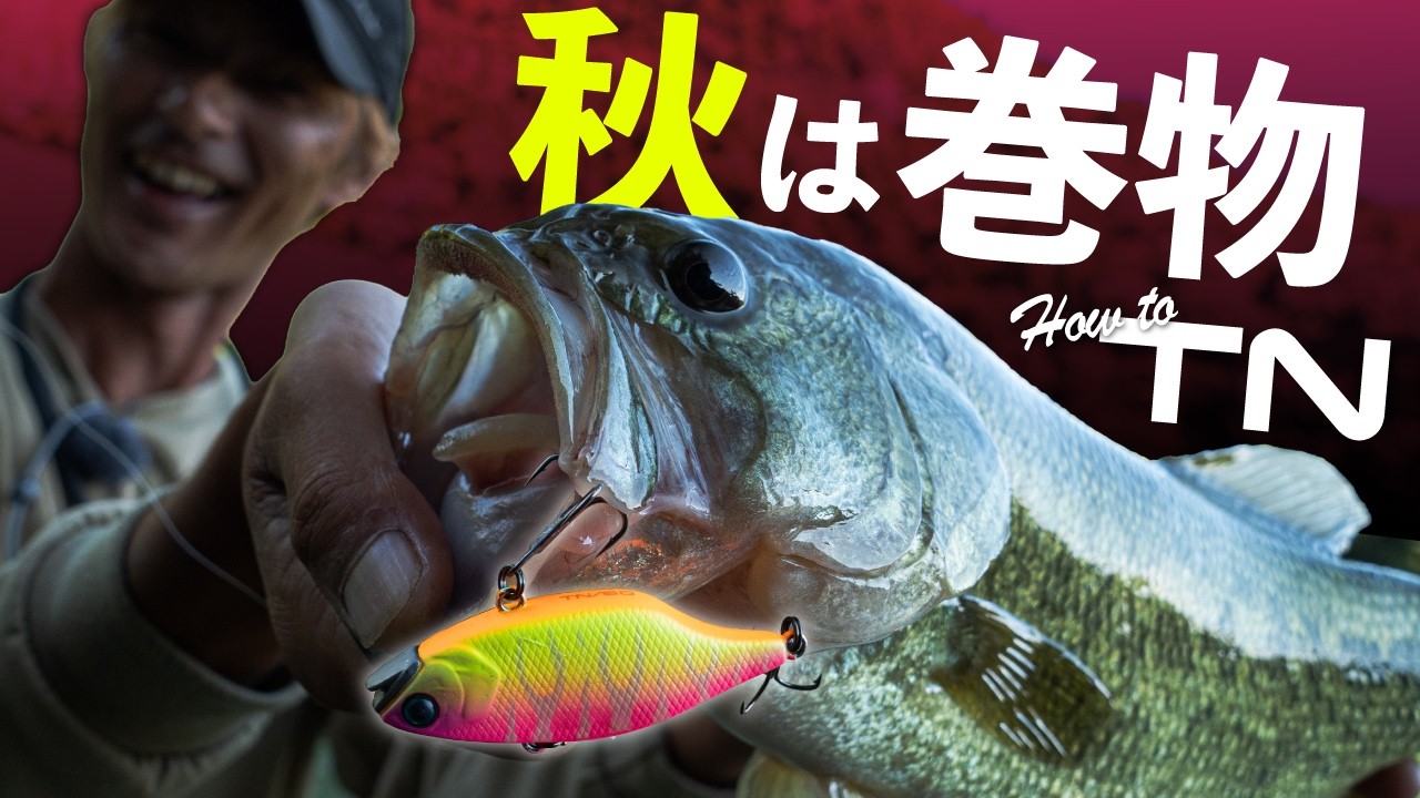 バス釣り】夏休みオススメ。デラシリーズでエンジョイフィッシング