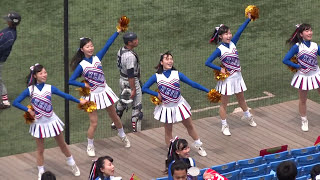 慶應義塾大学 チアリーディング部 5回チア曲（2014年春季・東大2回戦