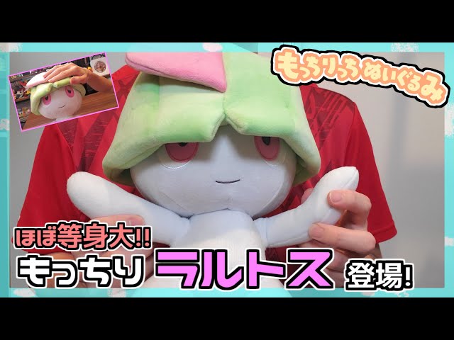 Pokemon Center] Almost life-sized, soft and cute with eyes covered