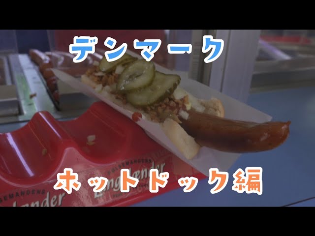 Hot Dog in Denmark🌭 リクエストにお応えしてデンマークでホット
