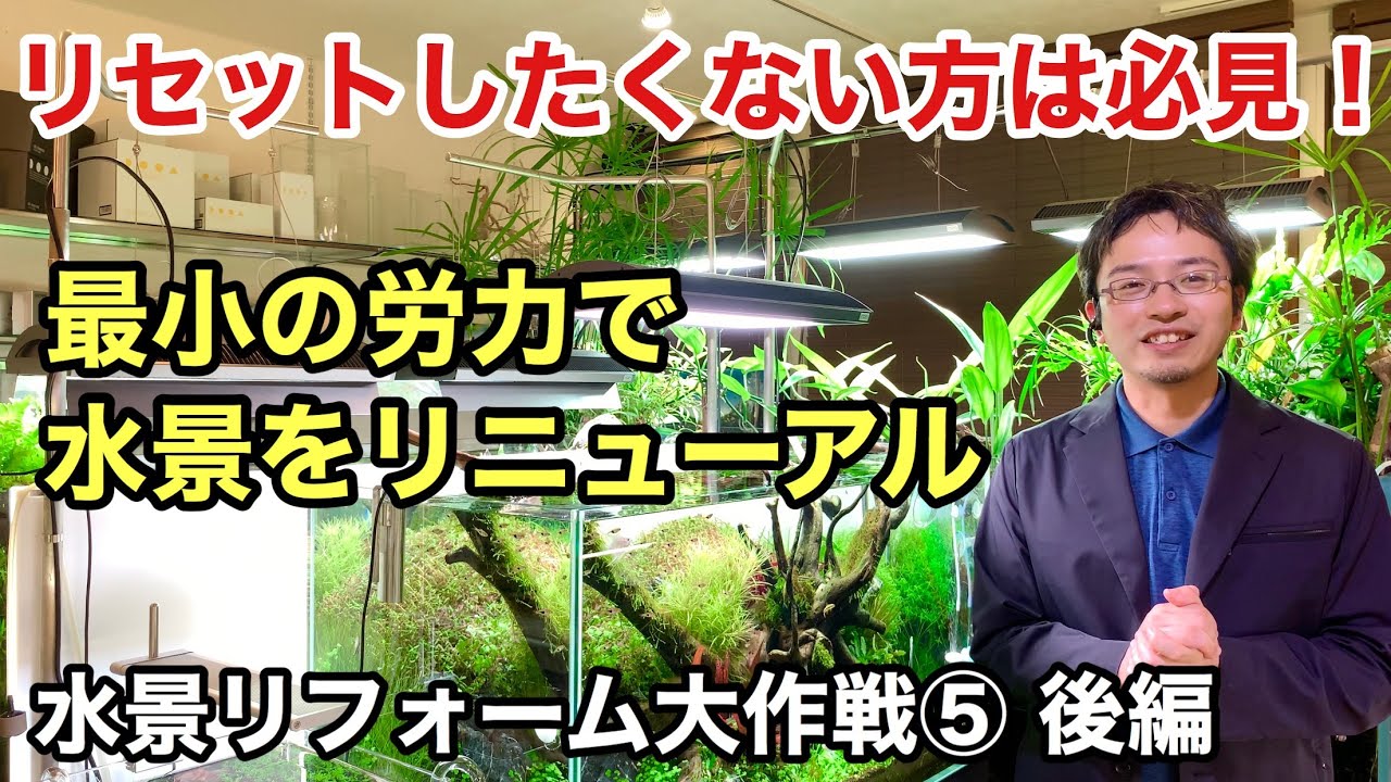 崩壊しかけの水草水槽を復活させる方法〜水景リフォーム大作戦【 その