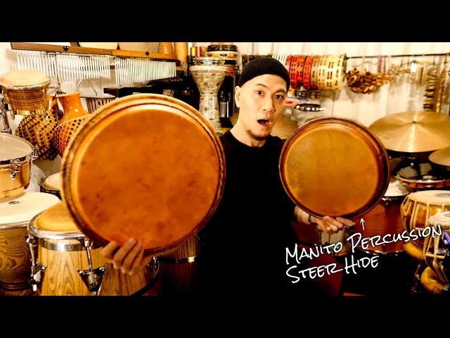 コンガ】激ヤバヘッドを手に入れました！【Manito Percussion Steer