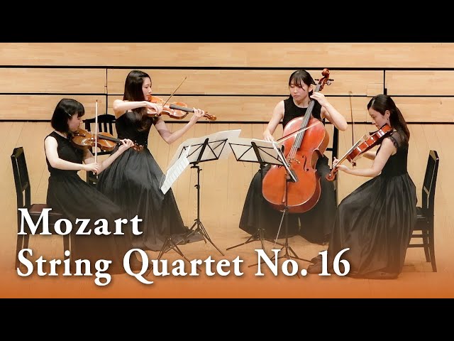 演奏会用上質17弦一式 メインテナンス済み演奏会用上質17弦一式