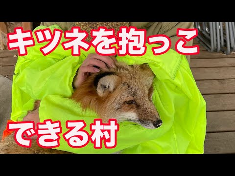 They'll bite 100%] You can hold a fox at Zao Fox Village [FOX