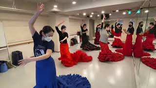 田村陽子フラメンコ教室 バタデコーラクラス Yoko Tamura Flamenco