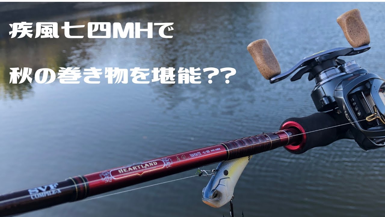 ハートランド 疾風七四MH本当におすすめです。 - YouTube