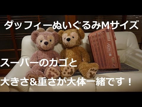 Duffy medium-sized stuffed animal - roughly the same size and