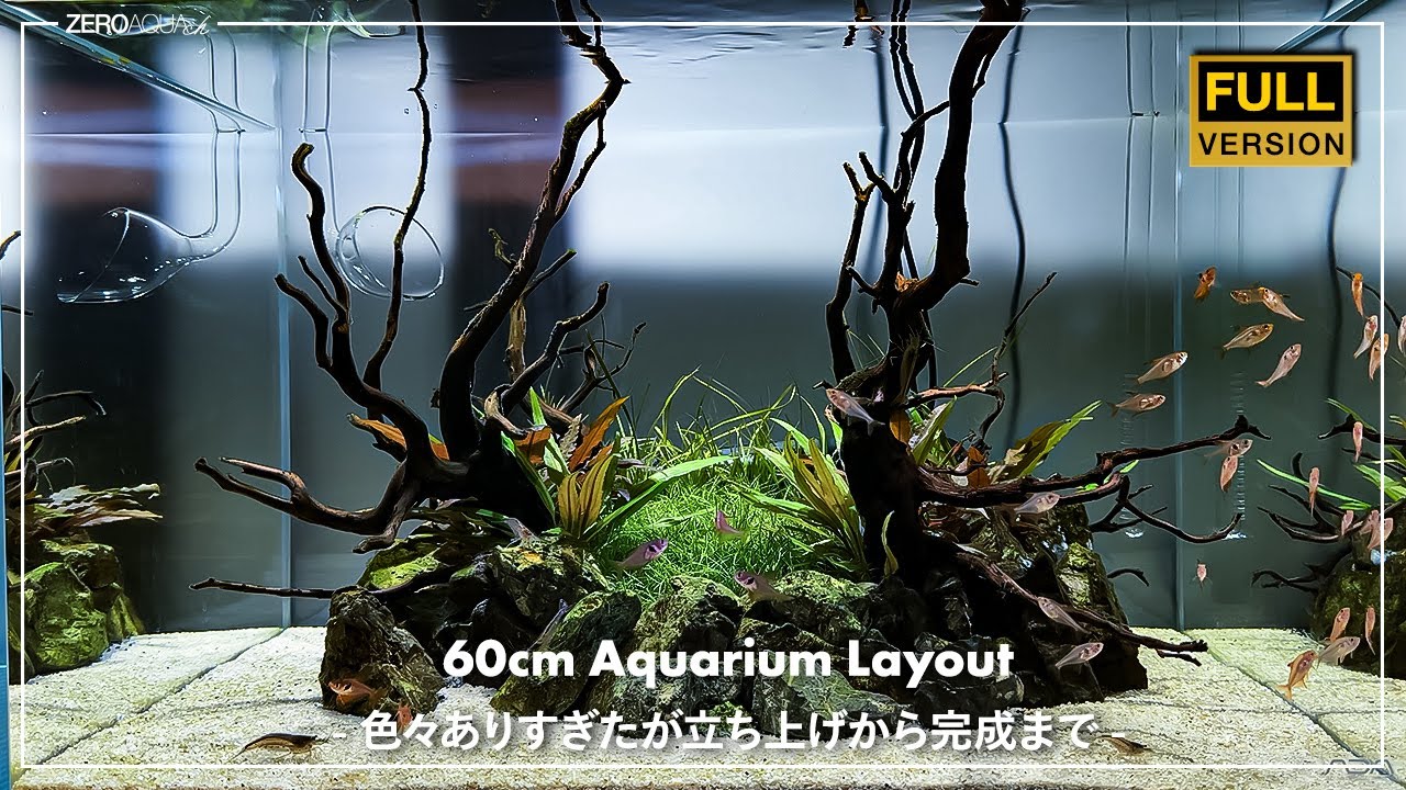 大型水草水槽用！ADA雲山石 巨大サイズを厳選仕入れ！ AQUASHOP