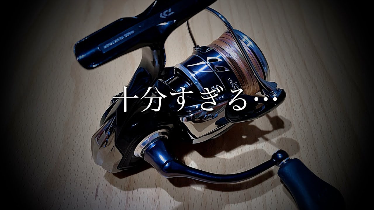 ノリーズ ジャングルスピン ヘビー & 23タトゥーラスピニングリール