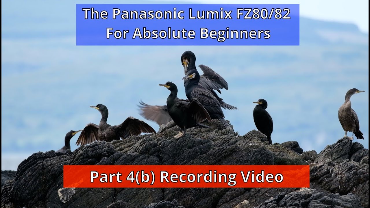 Panasonic Lumix FZ80/82 for Absolute Beginners Part 4B: Recording