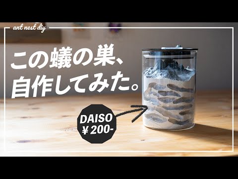 新アリ飼育ケース！円柱型石膏巣を作ってみた【蟻飼育】 - YouTube