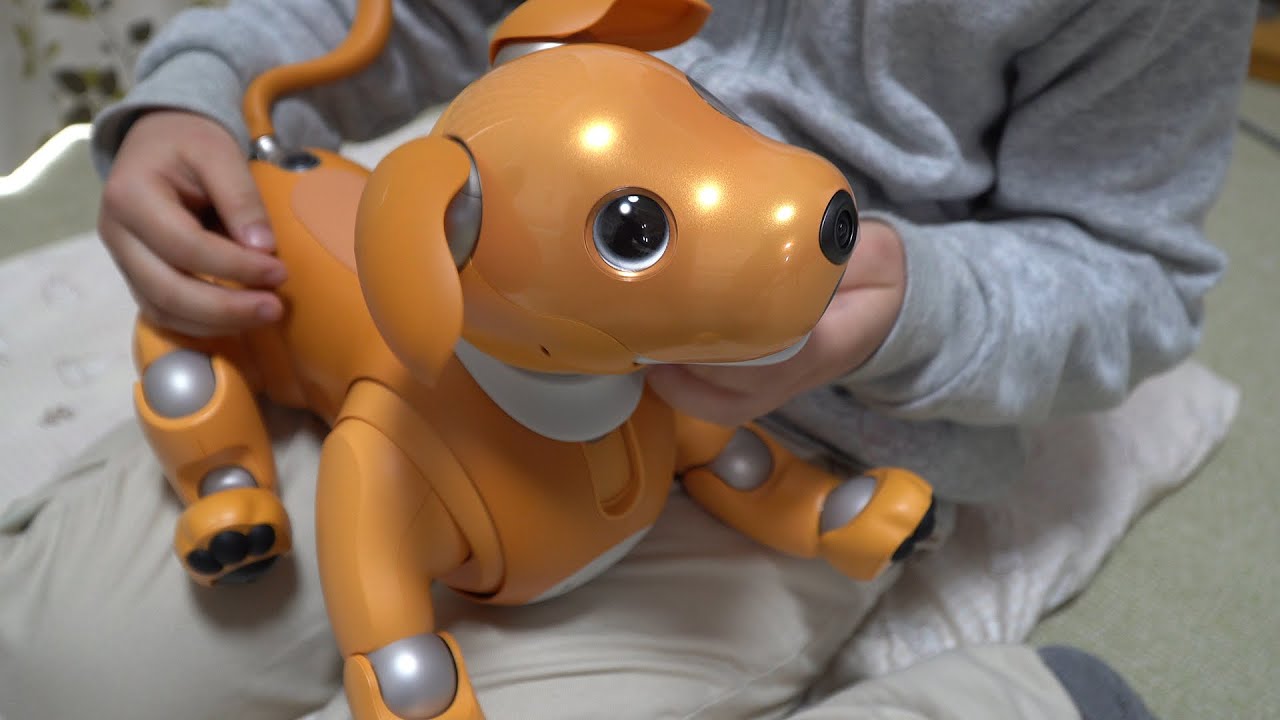 SONY aibo ERS-1000 キャラメル・ブリュレ SONY aibo ERS-1000