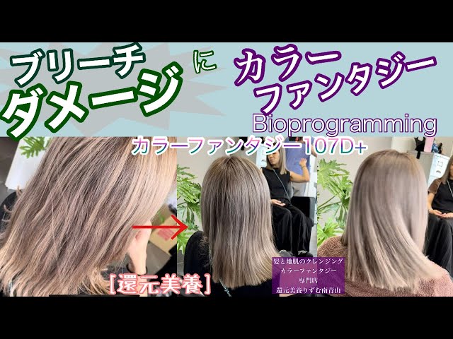 Color Fantasy 107D+ for bleach-damaged hair #Bioprogramming #Color