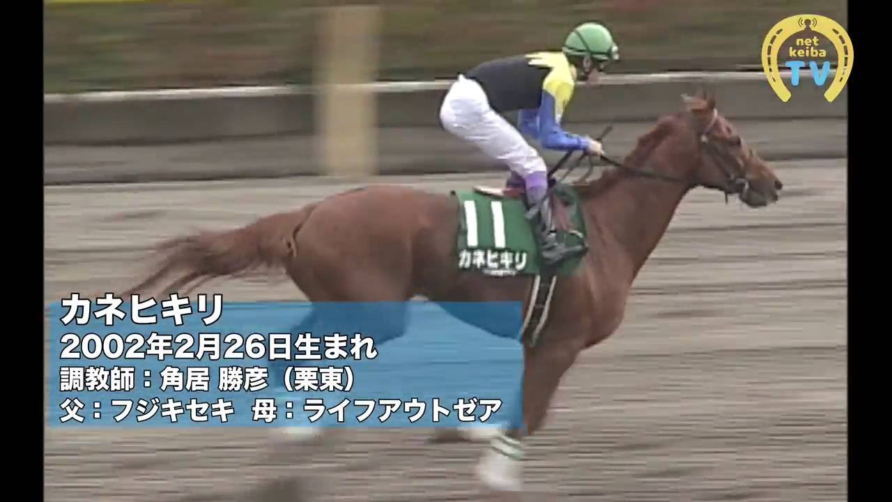 競馬】【カネヒキリ】“砂のディープインパクト” 開花のとき-netkeiba