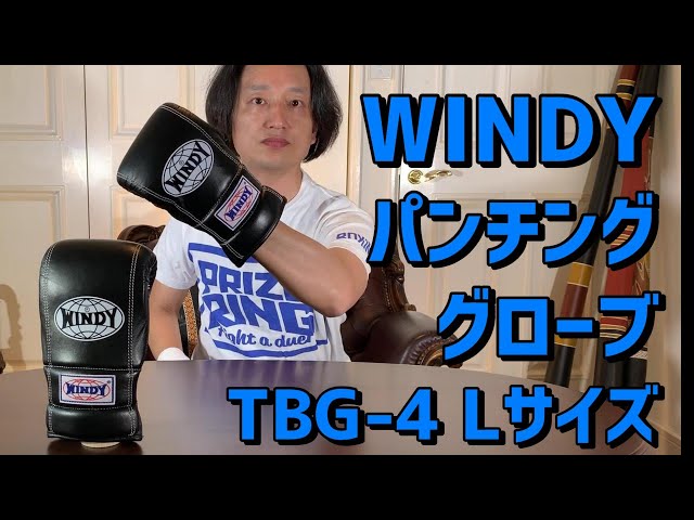 Windyのパンチンググローブ TBG-4 Lサイズを紹介 - YouTube