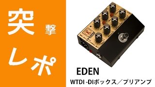 紹介動画あり！】EDEN(エデン) / WTDI で、あの”トーン” をお手軽に