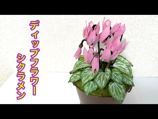 アメリカンフラワー ディップフラワー シクラメン 冬 アメリカン