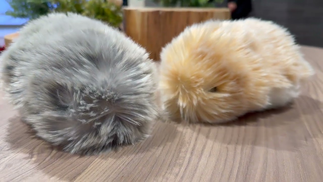 Moflin CASIO AIペット モフリン Moflin: AI Companion and Robot Pet