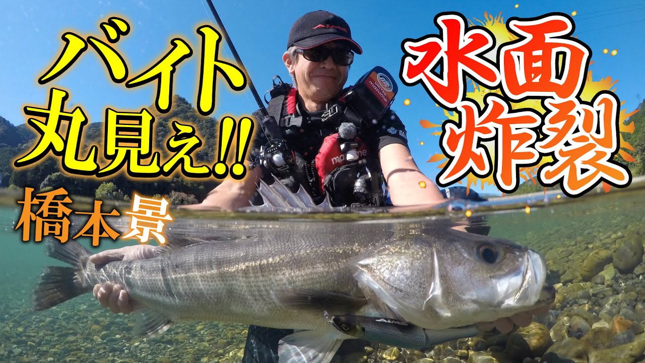Day game sea bass with big bait! - YouTube