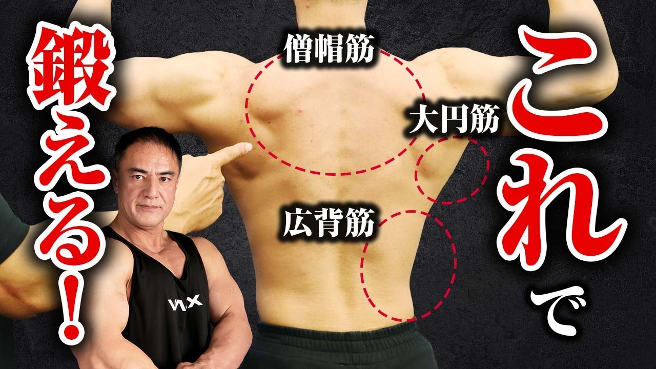 Muscle training] Here are some recommended exercises to train each