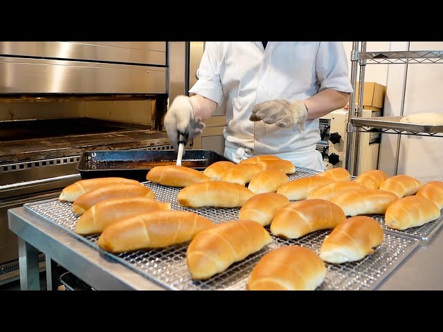 Japan Baking School ホームベーカリー KN-250 japan home baking