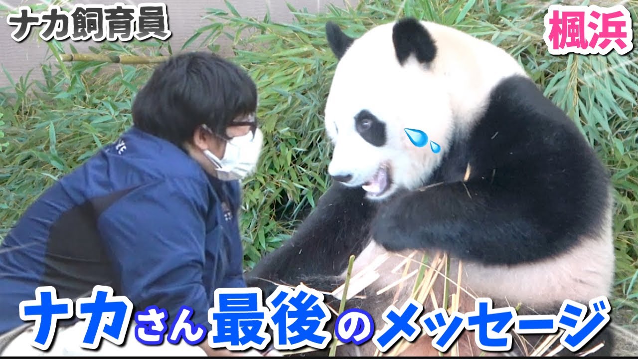 中国へも会いに行くからね」良浜☀︎彩浜☀︎結浜☀︎楓浜へ最後に語っ