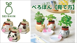 MAPPON REED ゆみみ 4本セット ネコポス 楽天市場】【個体で選べる