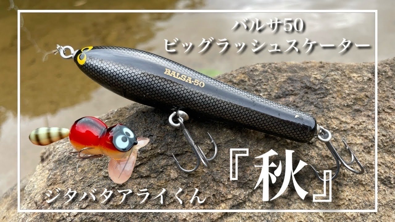 秋のバス釣り】トップウォーターでランガンパニック！広範囲に散って