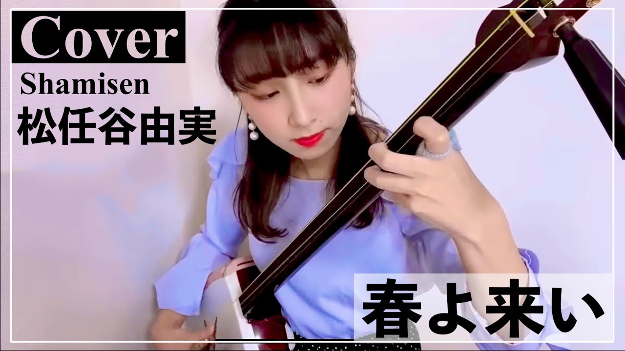 三味線中棹カスタム(ひよん帰ってこいよ。仕様 人生裏返し改め) ケース