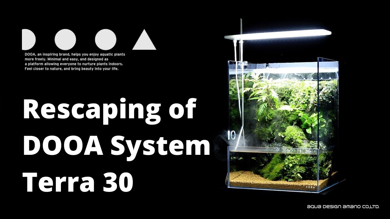 How to make Terrarium Waterfall tank at home | DOOA System Terra