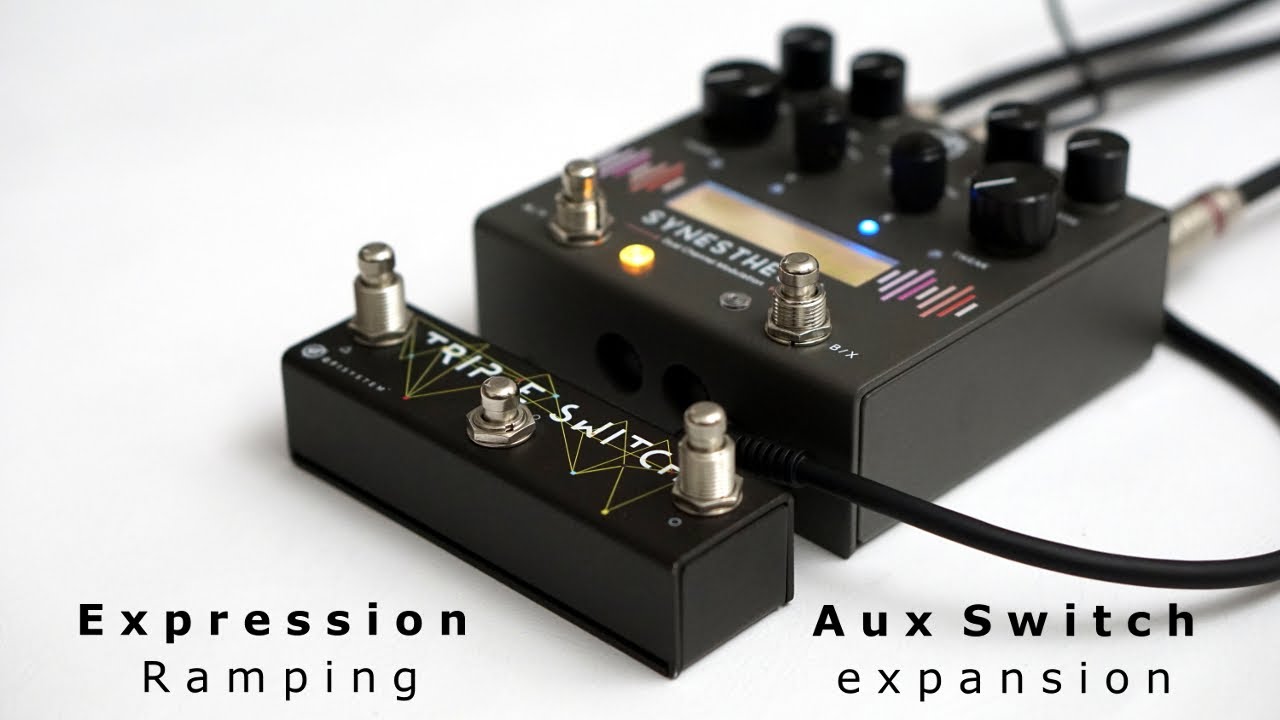 ギター GFI SYSTEM SYNESTHESIA + TRIPLE SWITCH TRIPLE SWITCH