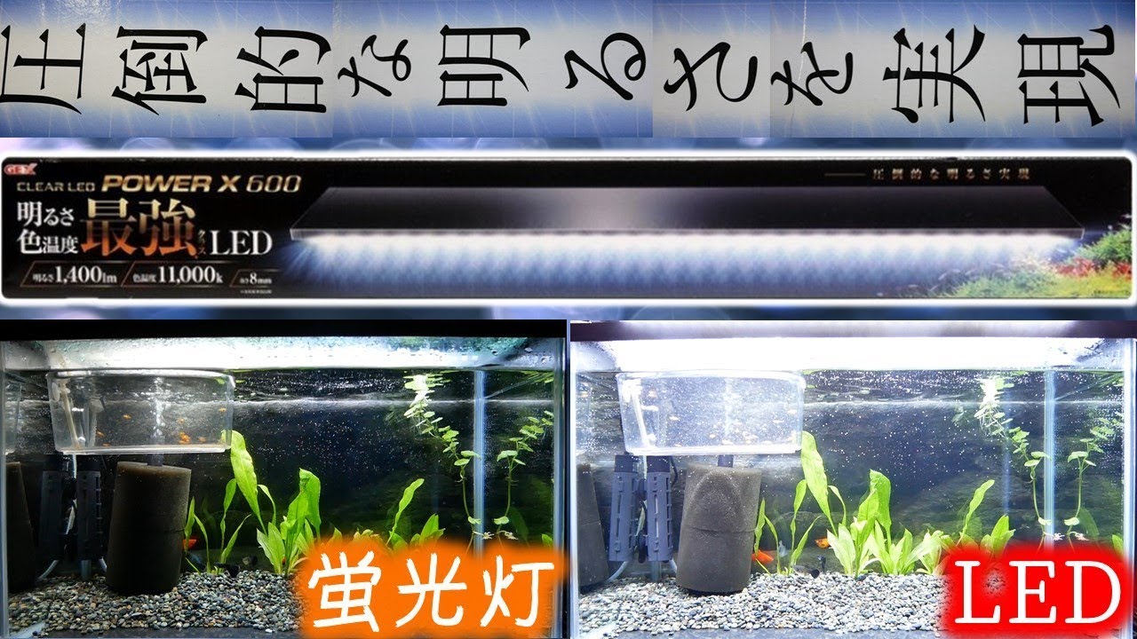 LED照明】GEXのクリアLED POWER X 600は最強だった。薄くて眩しいぜ