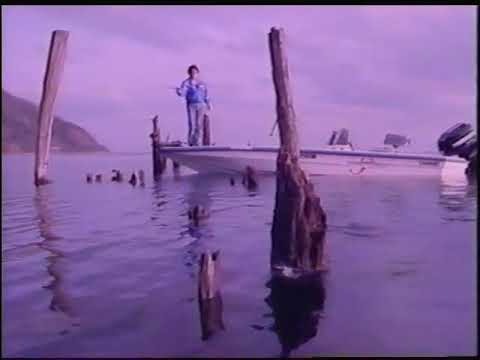 村田基 シマノCM - YouTube