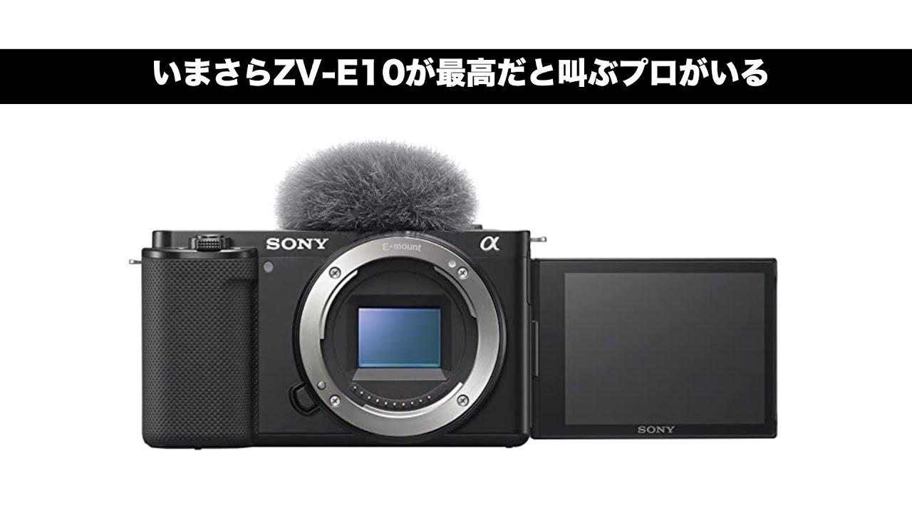 プロを唸らせた ZV-E10:軽く作例あり】小さくて軽くて安いが、お前は