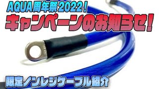 新型シビック】究極のアーシングケーブル「ノンレジケーブル」で燃費