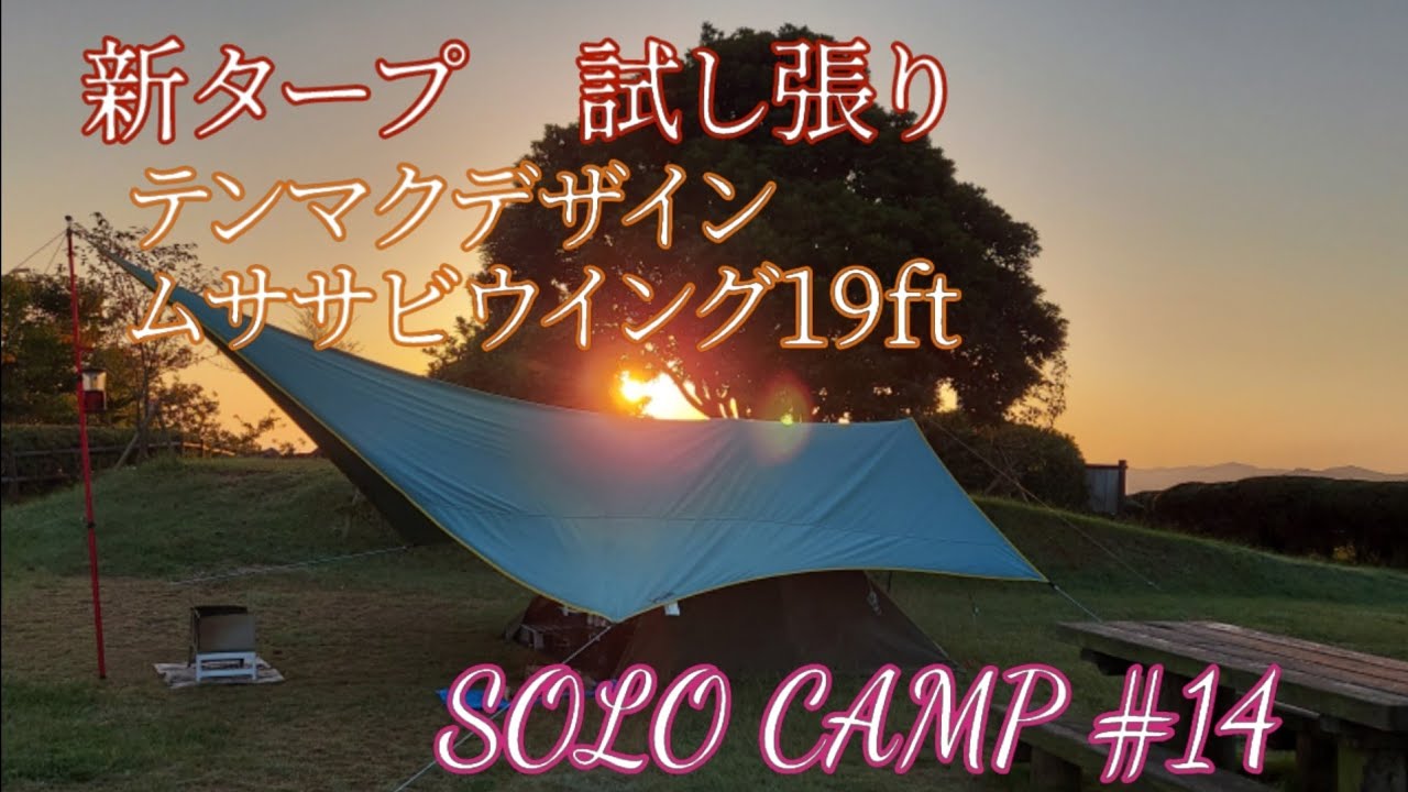 新タープ 試しに張ってみた テンマクデザイン ムササビウイング19ft