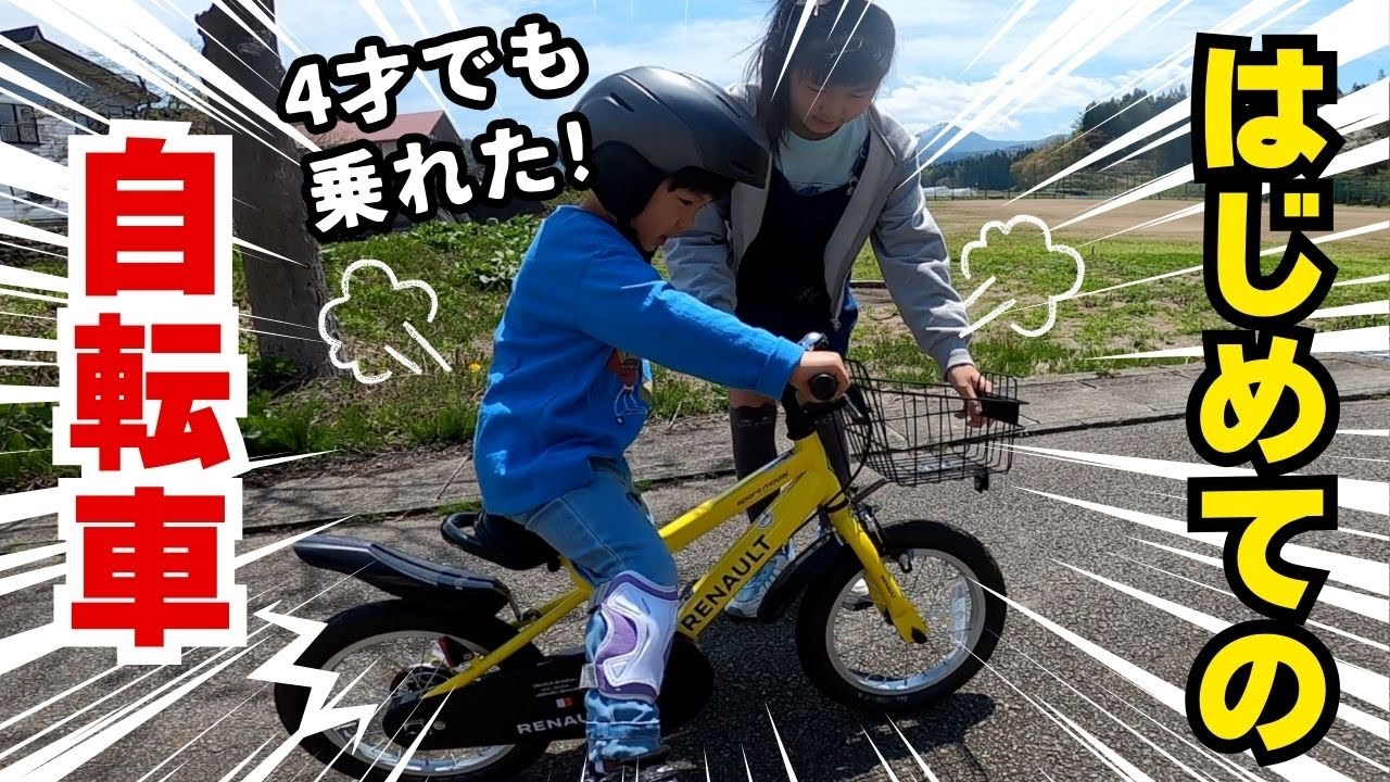 幼児の自転車 自転車に乗りたい子の練習用だと思う 引き取りは埼玉幸手