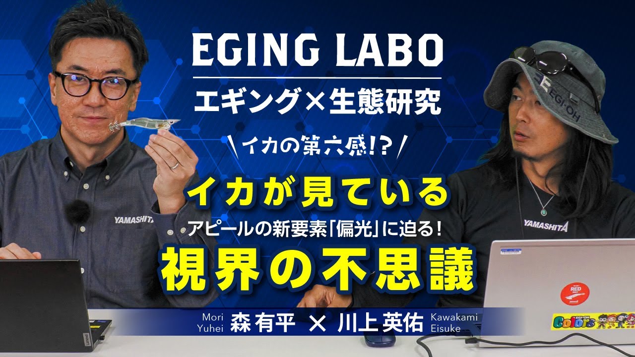 エギ王 K 3号 (EGING LABO) | ヤマシタとマリアが運営する「エギング