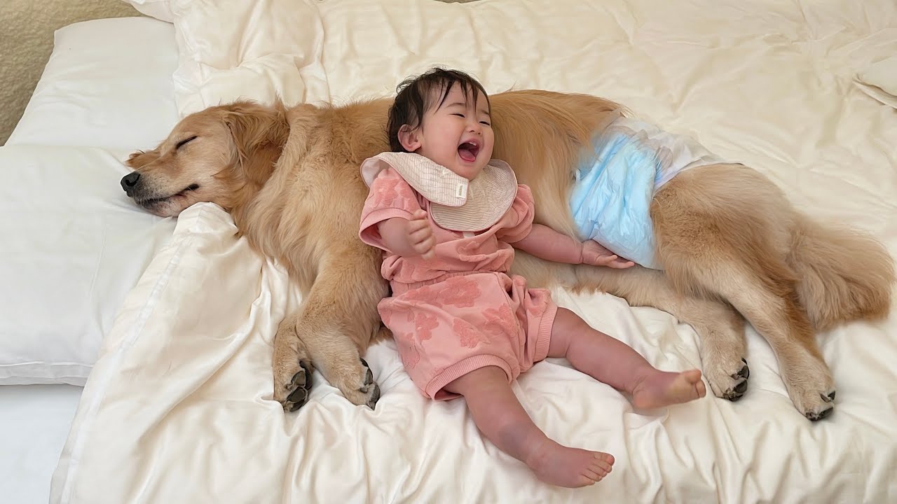 お揃いのオムツ姿に喜びが溢れ出てしまう1歳児とその様子をみて