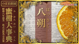 八朔（はっさく） | みかん大事典 | みかんのことなら「のま果樹園