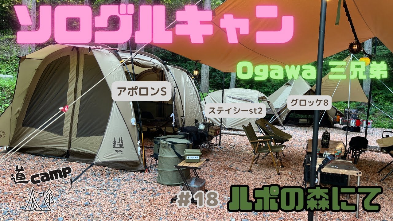 ソログルキャン ＃18 ogawa三兄弟❗️アポロンS・ステイシーst2